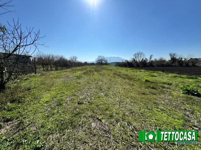 Appartamenti in Vendita - Terreno agricolo 1700 mq