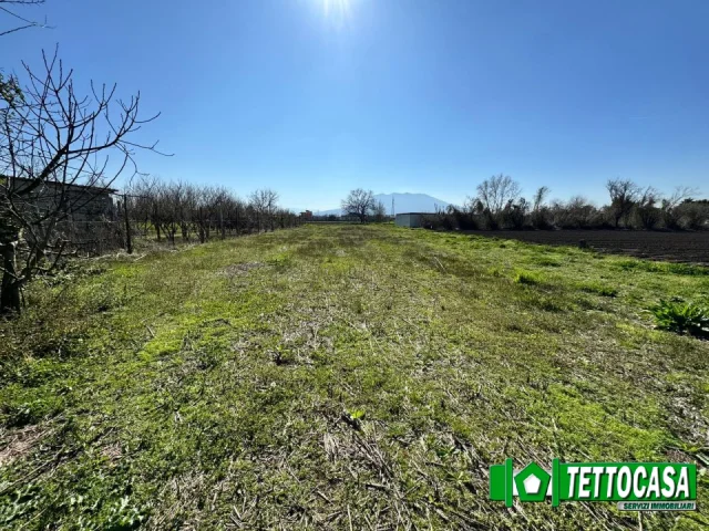 Appartamenti in Vendita - Terreno agricolo 1700 mq