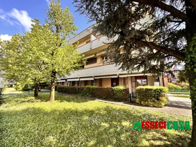 Appartamenti in Vendita - Trilocale