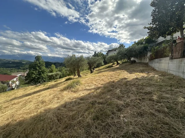 Appartamenti in Vendita - Terreno edificabile in vendita