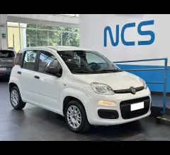 Auto - Fiat panda 1.2 easy