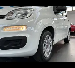 Auto - Fiat panda 1.2 easy