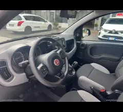 Auto - Fiat panda 1.0 firefly s&s hybrid city life