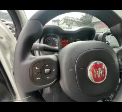 Auto - Fiat panda 1.0 firefly s&s hybrid city life