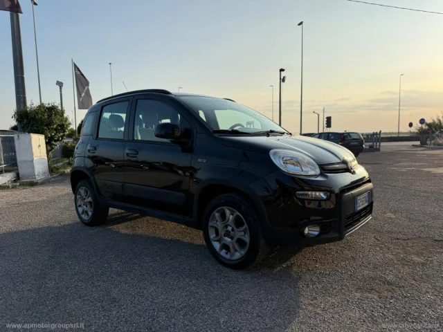 Fiat panda 1.3 mjt s&s 4x4 antartica