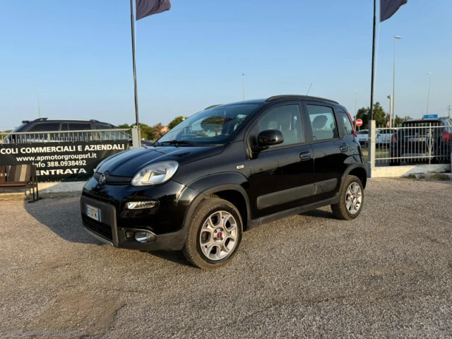 Auto - Fiat panda 1.3 mjt s&s 4x4 antartica