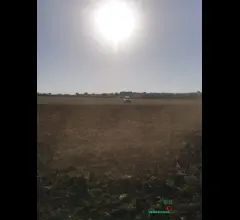 Contrada cimillà. terreno seminativo e pascolo. no fotovoltaico