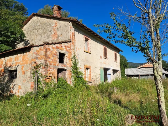 Appartamenti in Vendita - P111 rustico casale con terreno