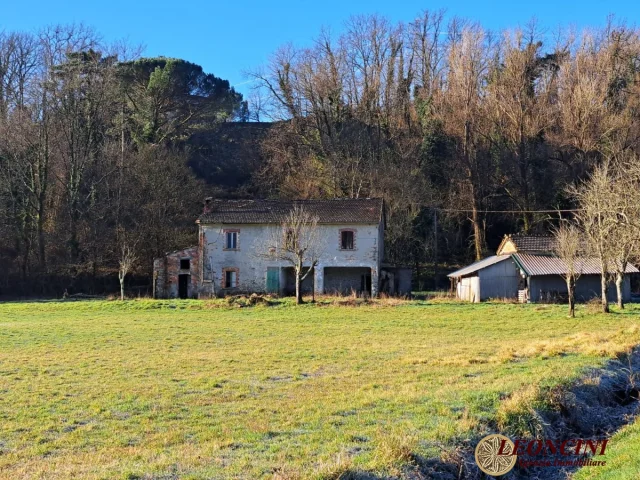 Appartamenti in Vendita - P111 rustico casale con terreno