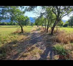 Appartamenti in Vendita - P111 rustico casale con terreno