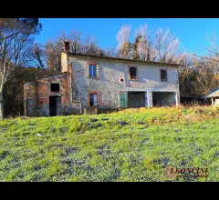 Appartamenti in Vendita - P111 rustico casale con terreno