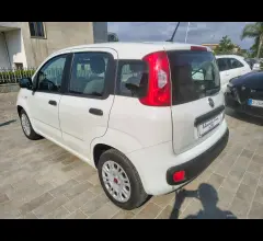 Auto - Fiat panda 1.2 easypower easy