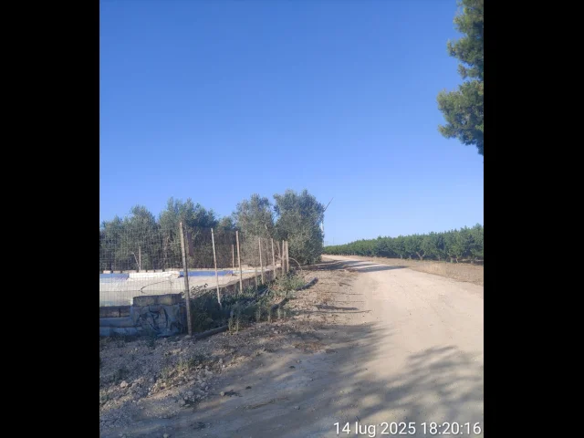 Appartamenti in Vendita - Terreno agricolo in vendita a cerignola tressanti