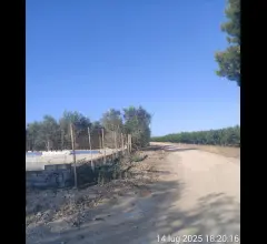 Appartamenti in Vendita - Terreno agricolo in vendita a cerignola tressanti