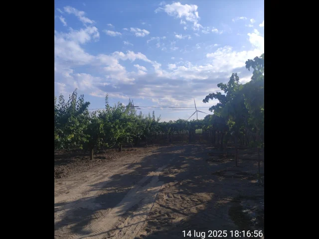Appartamenti in Vendita - Terreno agricolo in vendita a cerignola tressanti