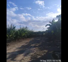 Appartamenti in Vendita - Terreno agricolo in vendita a cerignola tressanti