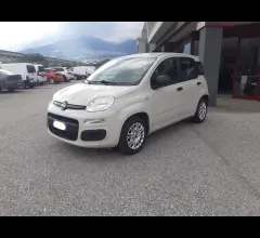 Auto - Fiat panda 1.2 69cv easy
