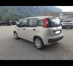 Auto - Fiat panda 1.2 69cv easy