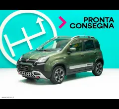 Auto - Fiat panda cross 1.0 firefly s&s hybrid