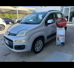 Auto - Fiat panda 1.2 lounge