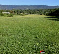 Case - Fara vicentino: terreno edificabile