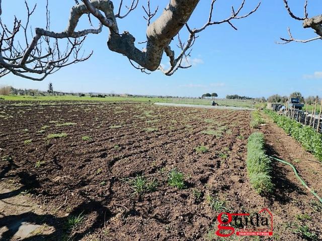 Case - Terreno agricolo con impianto di irrigazione e pozzo sorgivo