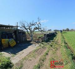 Case - Terreno agricolo con impianto di irrigazione e pozzo sorgivo