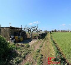 Case - Terreno agricolo con impianto di irrigazione e pozzo sorgivo