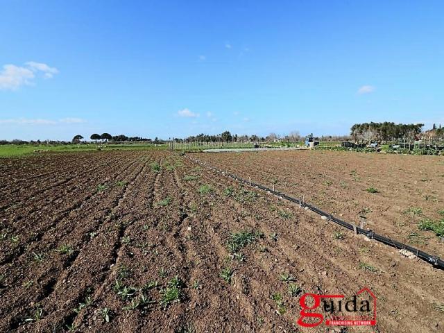 Case - Terreno agricolo con impianto di irrigazione e pozzo sorgivo