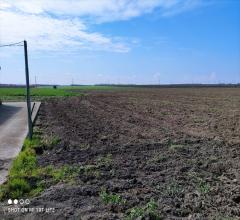 Appartamenti in Vendita - Terreno agricolo in vendita a cerignola iemma