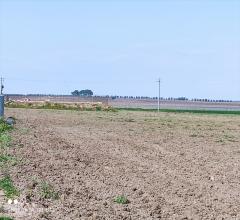 Appartamenti in Vendita - Terreno agricolo in vendita a cerignola iemma