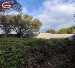 Appartamenti in Vendita - Terreno agricolo in vendita a taurianova semicentrale
