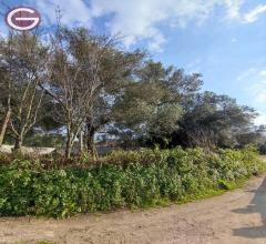 Appartamenti in Vendita - Terreno agricolo in vendita a taurianova semicentrale