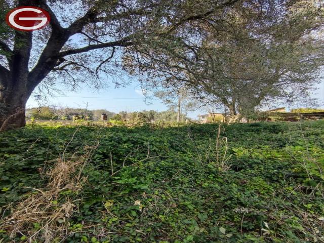 Appartamenti in Vendita - Terreno agricolo in vendita a taurianova semicentrale