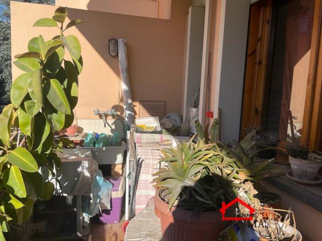 Case - Esclusiva: appartamento trilocale con grande terrazza a massa, via marina vecchia, in zona comoda e 