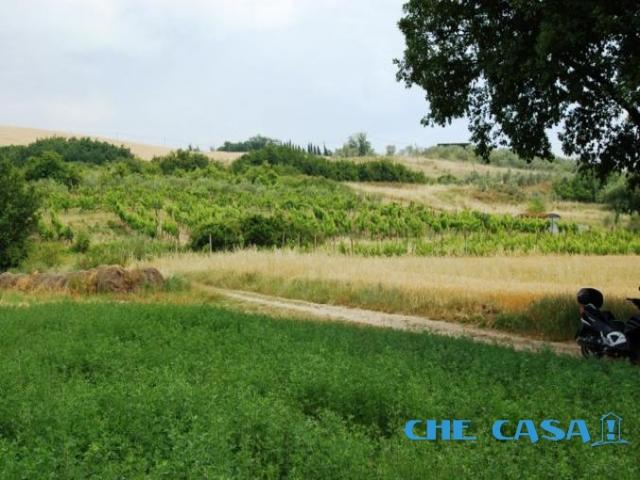 Case - Terreno agricolo a 1,5 km dal centro di morciano