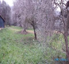 Case - Casa abbinata da ristrutturare a poca distanza dal centro di morciano