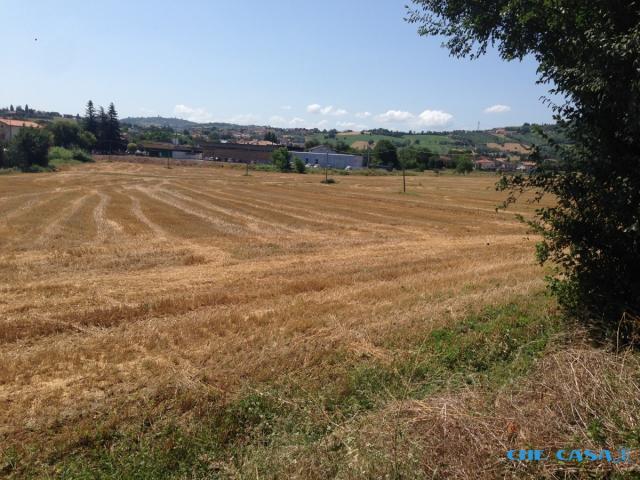 Case - Terreno agricolo