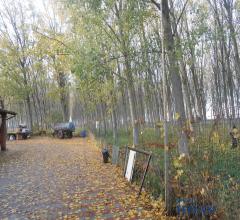 Vendesi terreno in zona carpi ovest