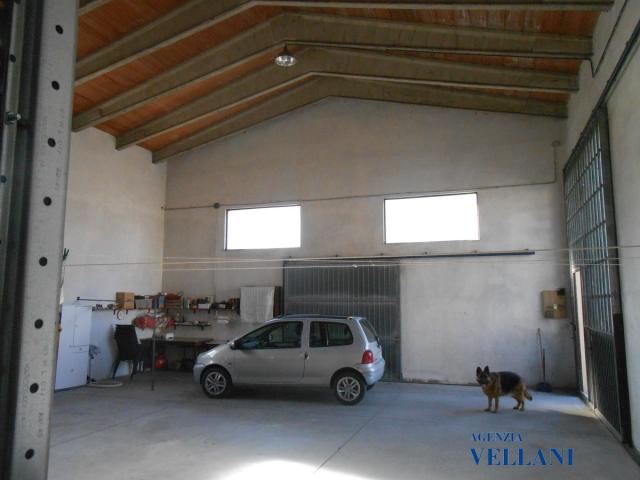 Appartamenti in Vendita - Vendesi casa singola in zona san prospero