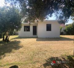 Appartamenti in Vendita - Villa rustica ad arcina