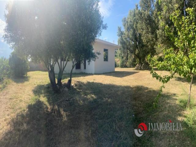 Appartamenti in Vendita - Villa rustica ad arcina
