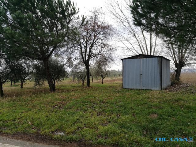 Case - Terreno agricolo di oltre 1 ettaro con capanno