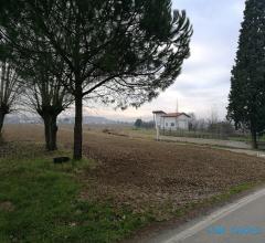 Case - Terreno agricolo di oltre 1 ettaro con capanno