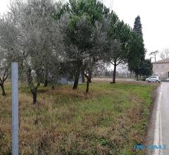 Case - Terreno agricolo di oltre 1 ettaro con capanno