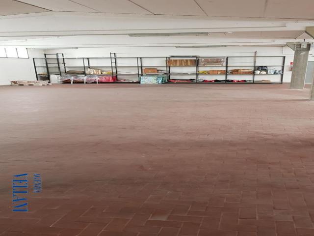 Case - Vendesi capannone con abitazione in zona sud a carpi