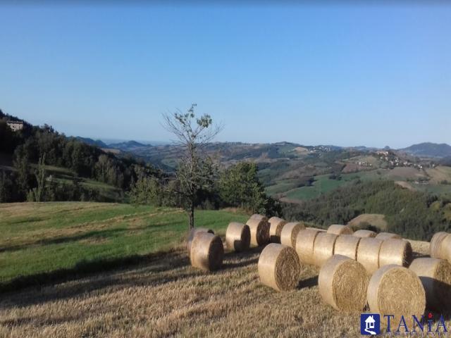 Case - Vendesi capannone con abitazione in zona sud a carpi