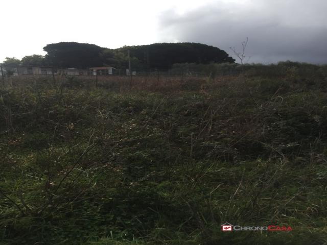 Case - Terreno a castanea rif.mfe-5493