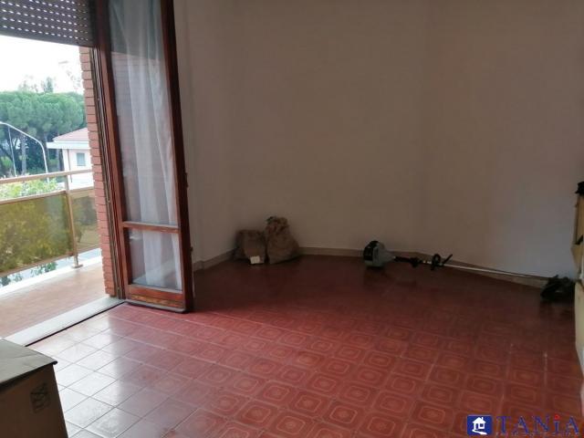 Appartamenti in Vendita - Appartamento rustico toscano  castellina mma 15 min dal mare