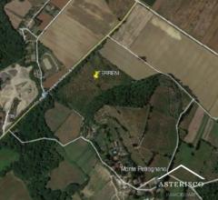 Case - Terreno agricolo - localita' petrognano - arezzo (ar)